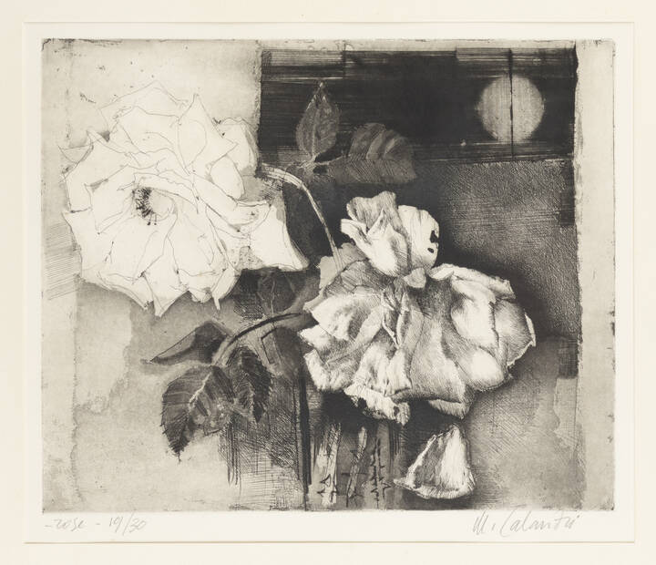MARIO CALANDRI - 'Rose e Luna' 1975