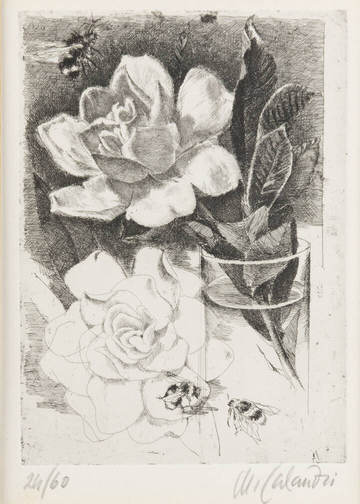 MARIO CALANDRI - 'Camelie' 1983
