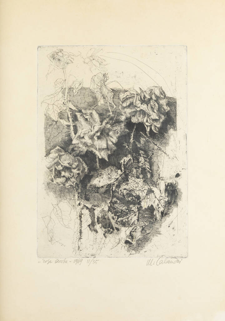 MARIO CALANDRI - 'Rose secche' 1969