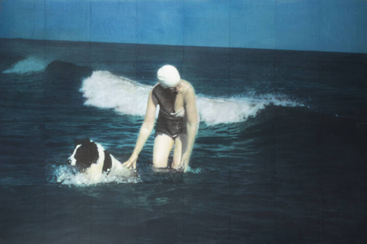 ISCA GREENFIELD-SANDERS - 'Wings of water' 2001