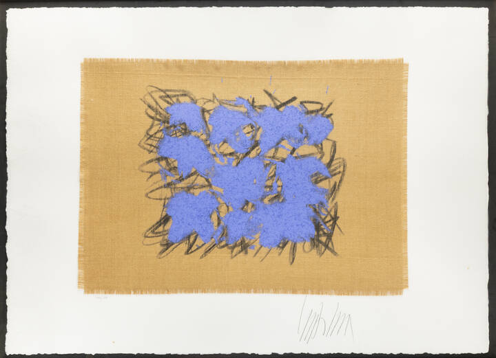 SALVATORE EMBLEMA - 'Fiori Vesuviani' , 2004