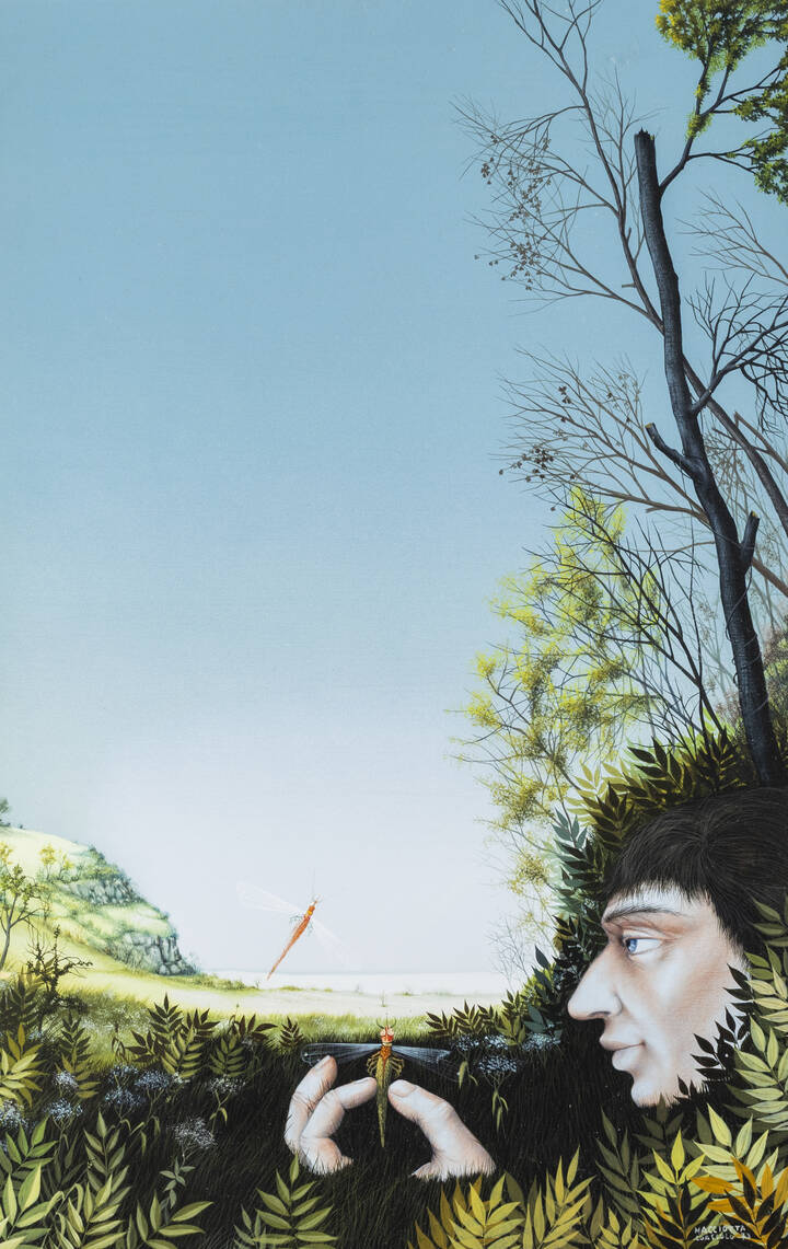 GIOVANNI MACCIOTTA - 'La libellula' Coassolo 1973