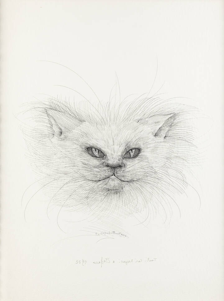 ENRICO COLOMBOTTO ROSSO - 'Gatto'