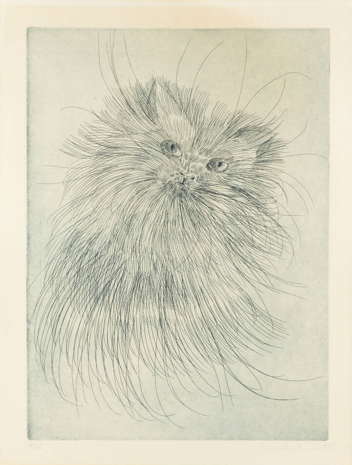 ENRICO COLOMBOTTO ROSSO - 'Gatto'