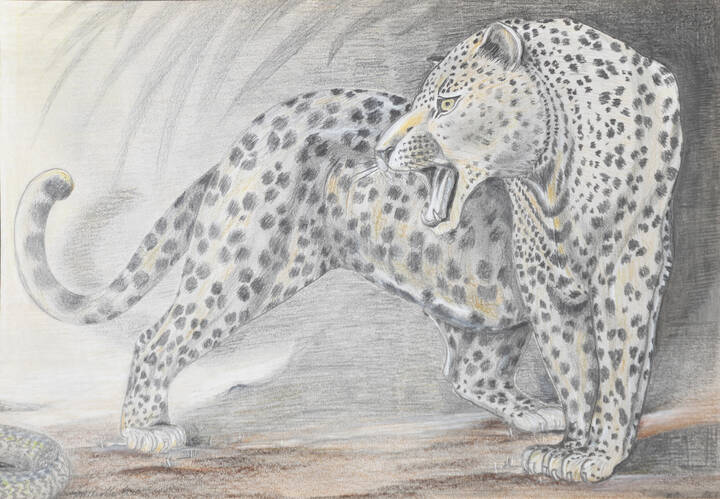 ALVIERO MARTINI - 'Leopardo' 1990-2000