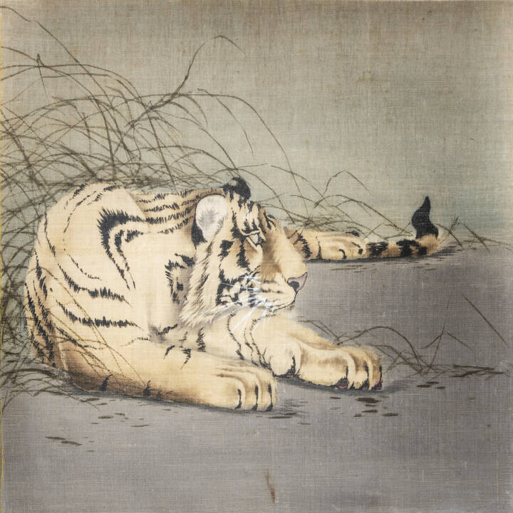 PITTORE ANONIMO - 'Tigre'
