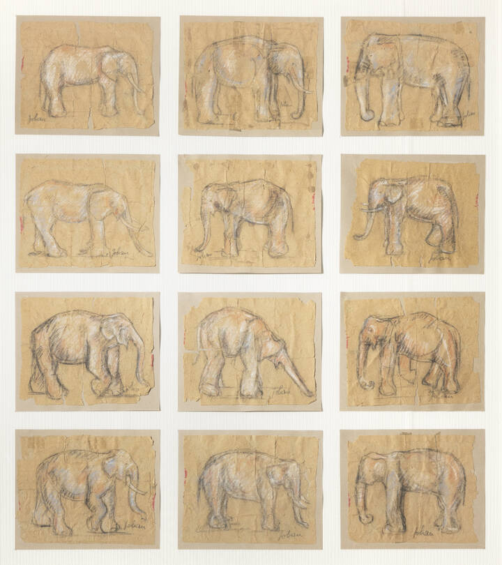 ETIENNETTE JOHAN - Lotto di 12 disegni 'Elephants'