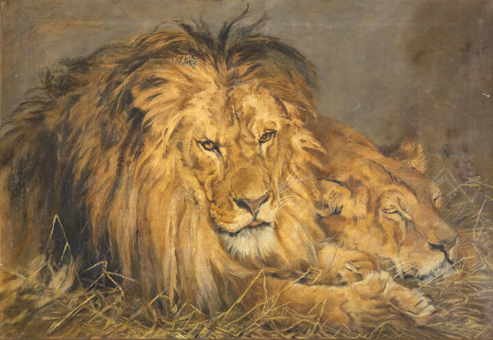 PITTORE ANONIMO - 'Leoni'