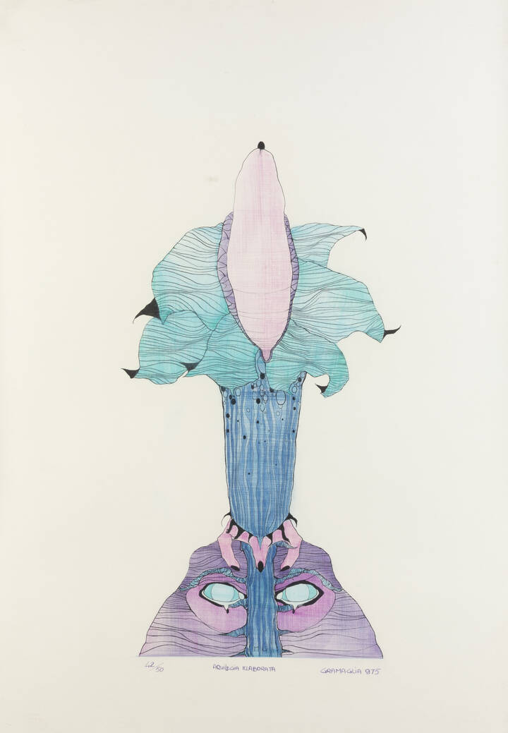MARIO GRAMAGLIA - 'Aquilegia elaborata' 1975