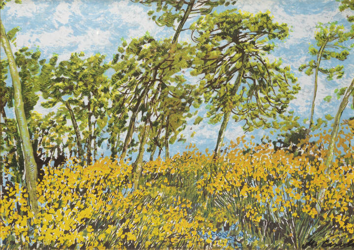 MICHELE CASCELLA - 'Ginestre a S.Luigi', 1984