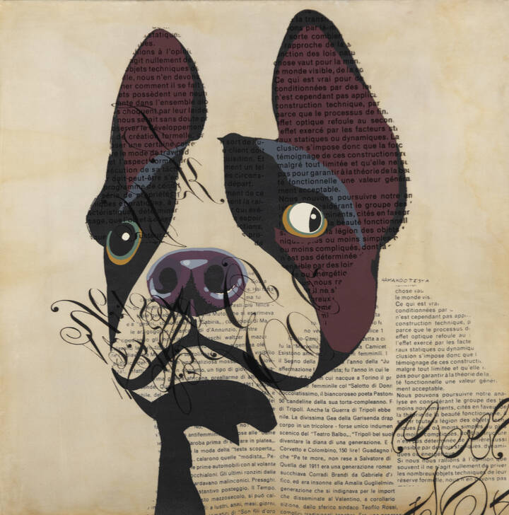 ARMANDO TESTA - 'Cane strabico'