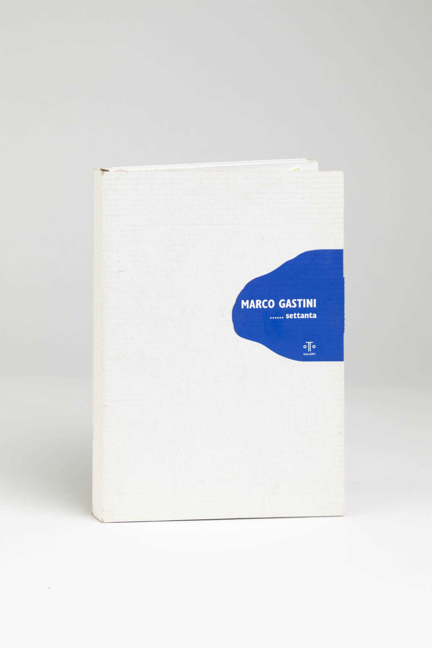 FRANCO MELLO - 'Marco Gastini......settanta' 2011