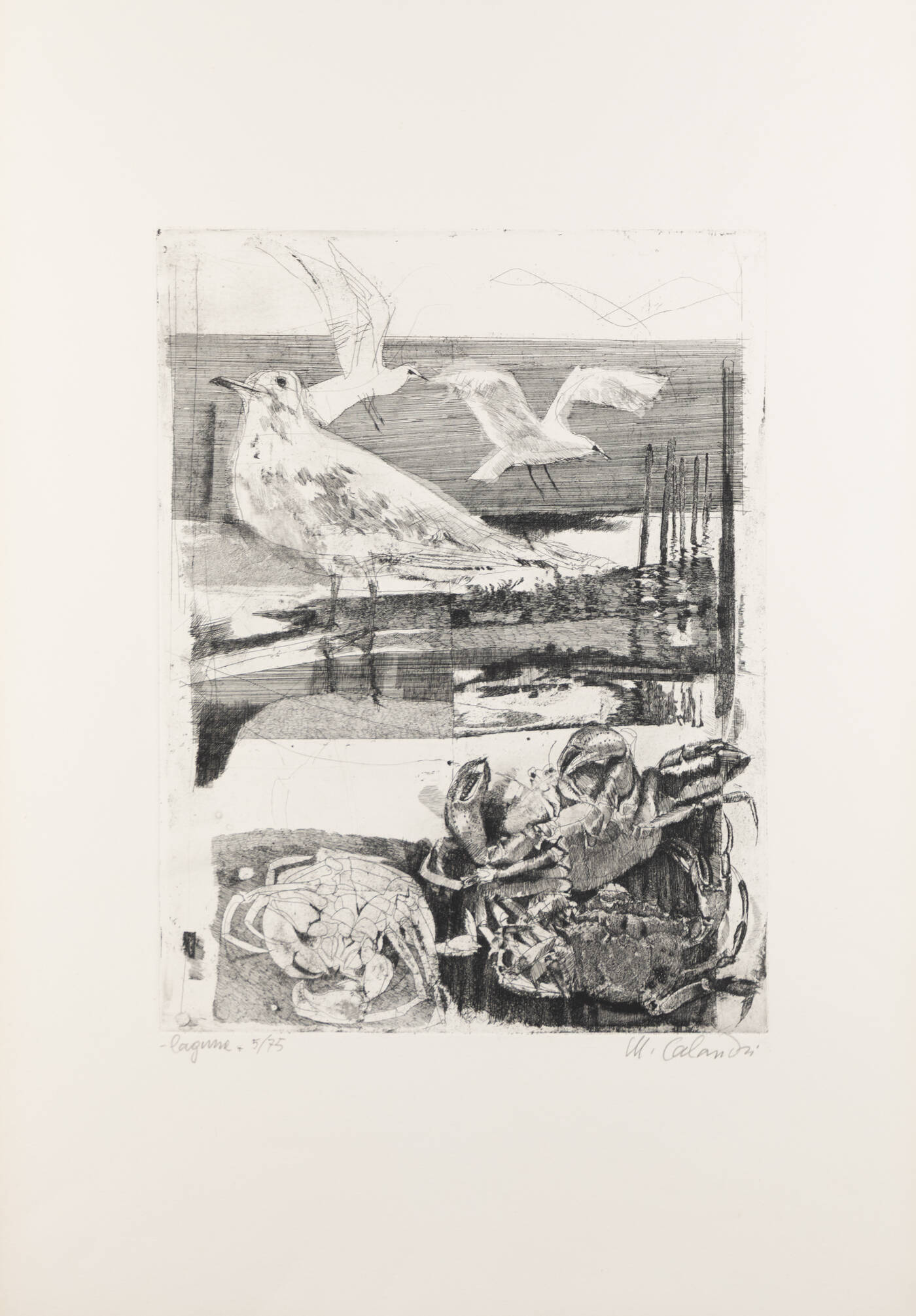 MARIO CALANDRI - 'Laguna', 1972