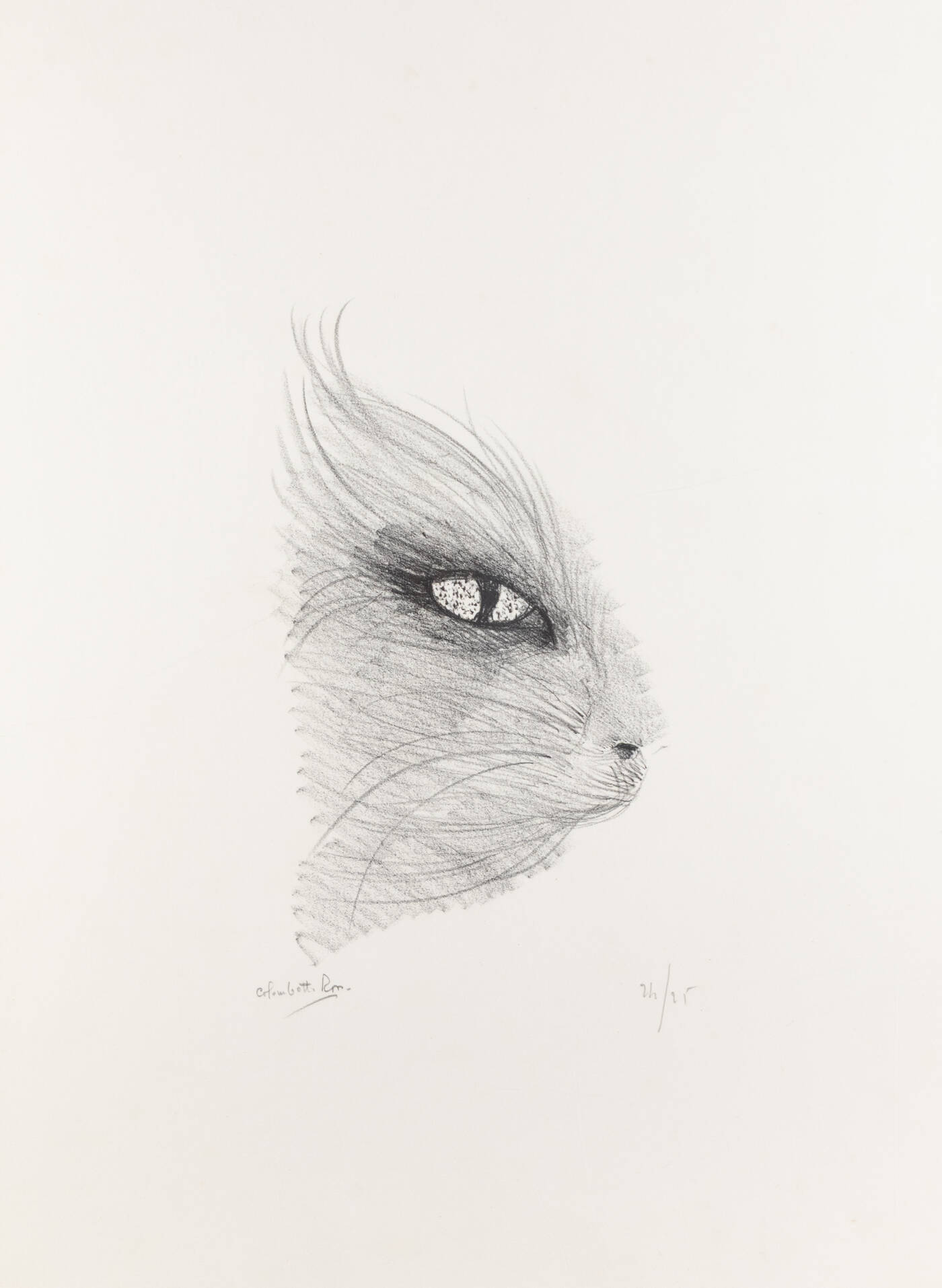 ENRICO COLOMBOTTO ROSSO - 'Gatto'