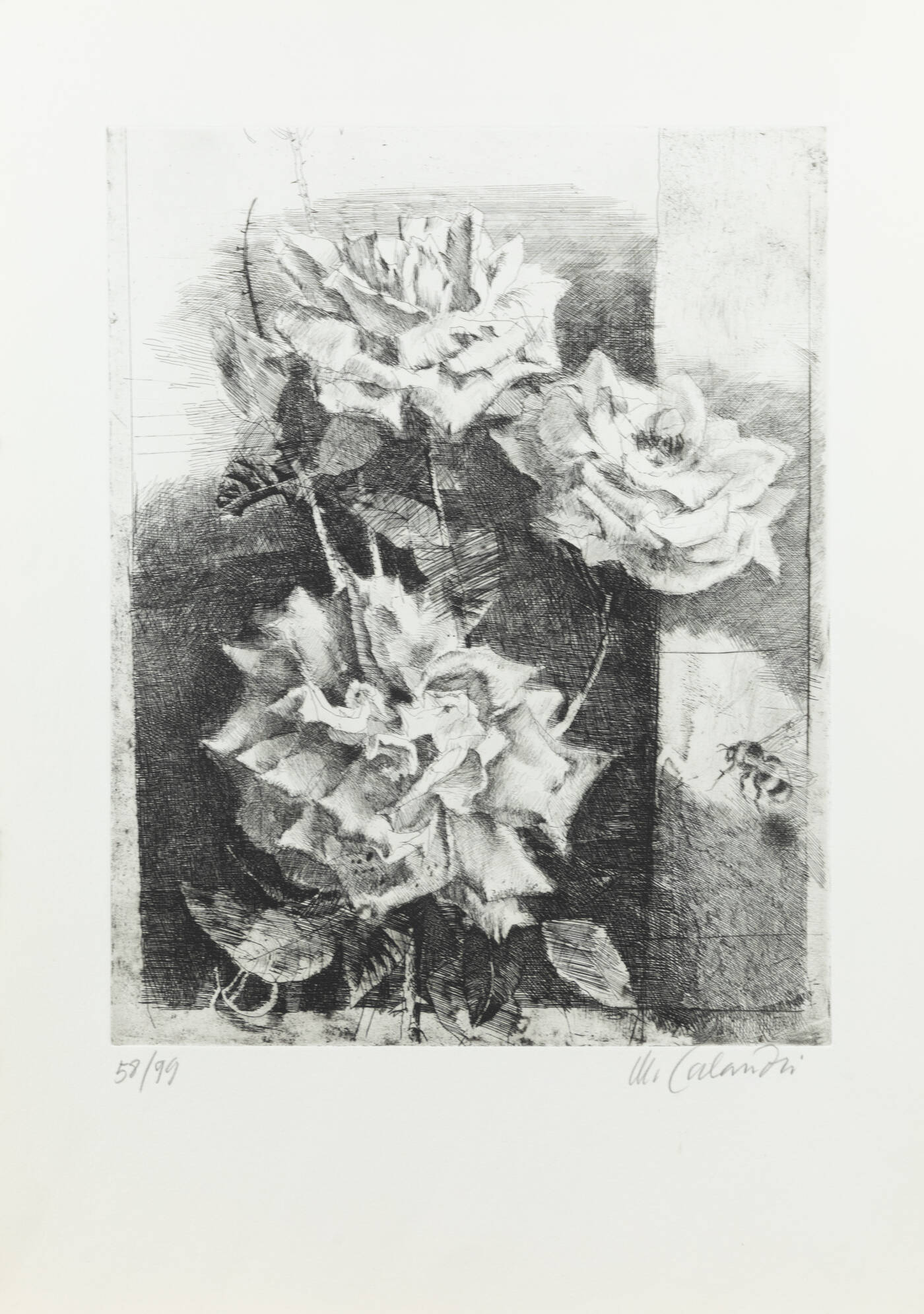 MARIO CALANDRI - 'Rose' 1980