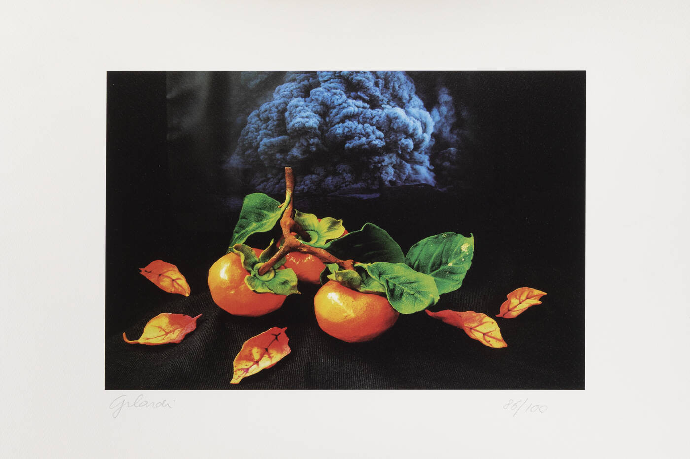 PIERO GILARDI - 'Cachi' 