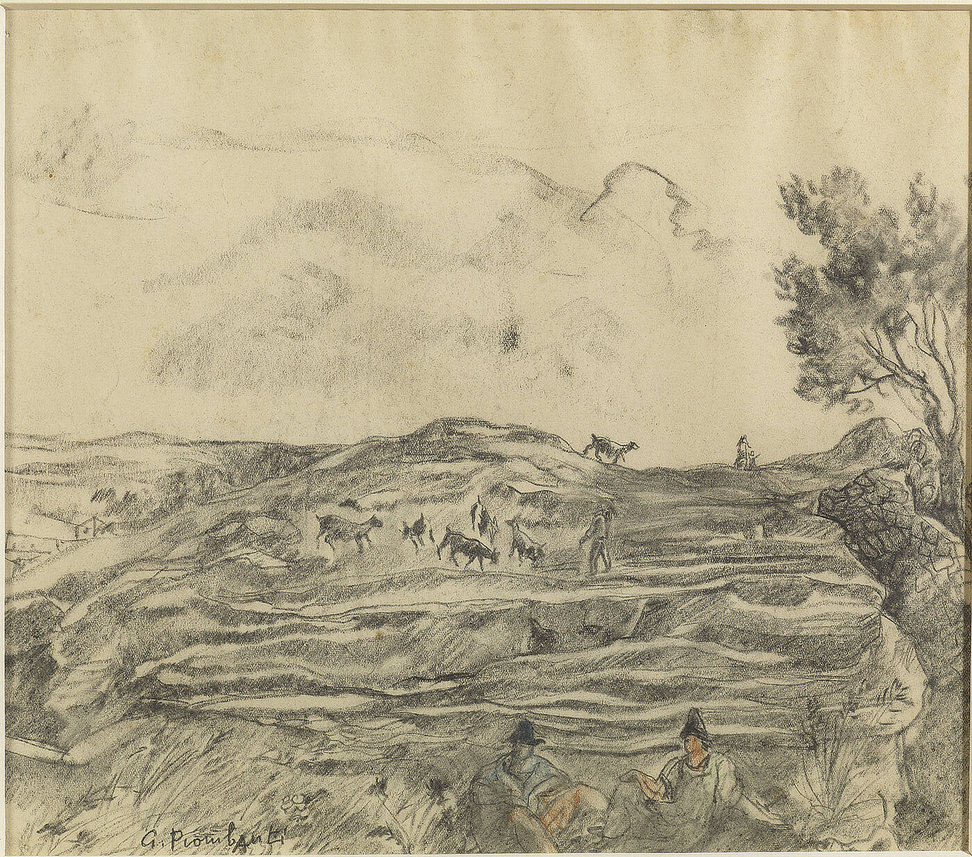 GIUSEPPE PIOMBANTI AMMANNATI - 'Capre al pascolo'