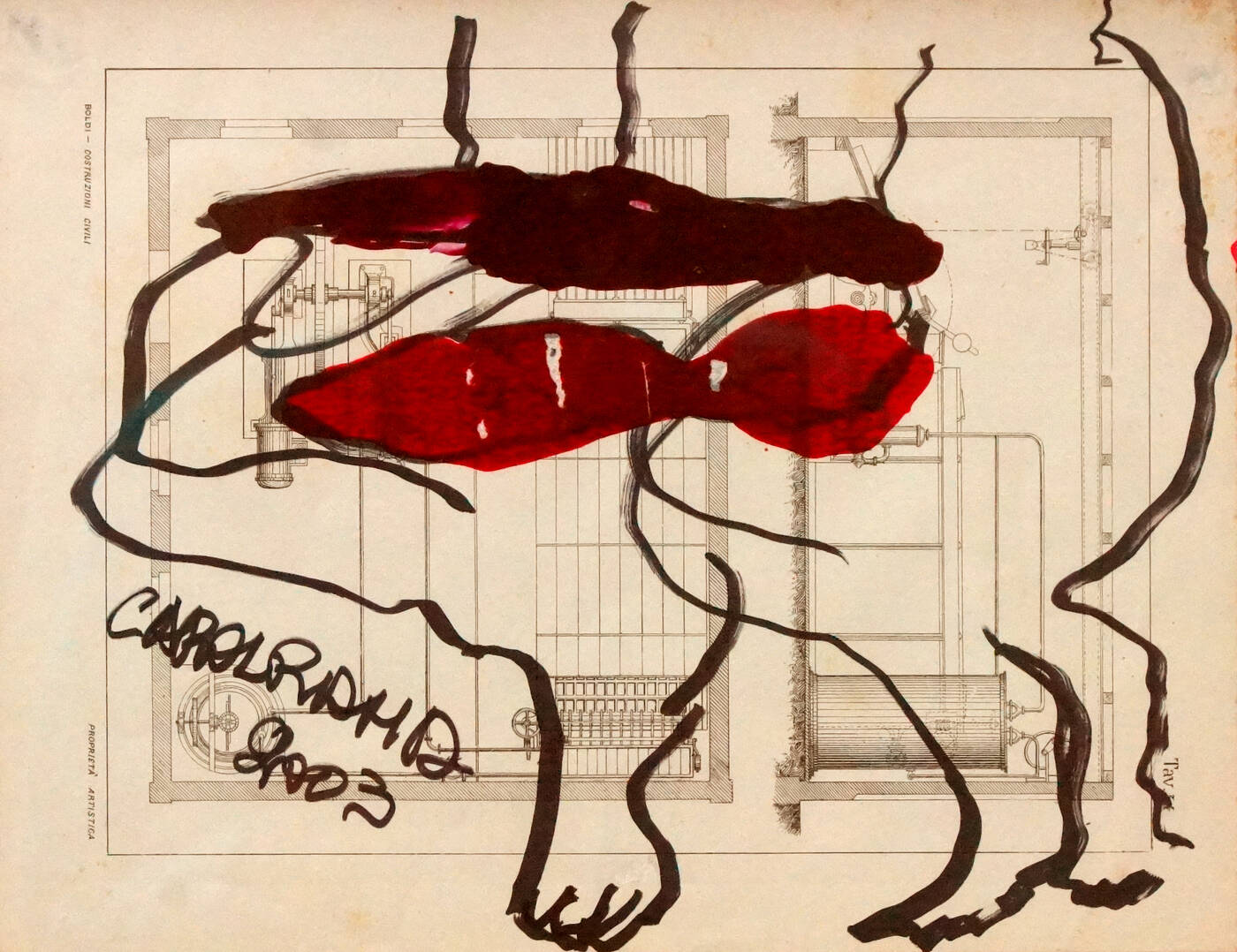 CAROL RAMA - 'La mucca pazza' 2003