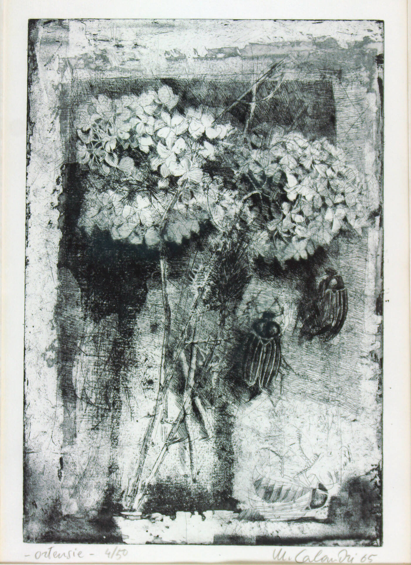 MARIO CALANDRI - 'Ortensie' 1965