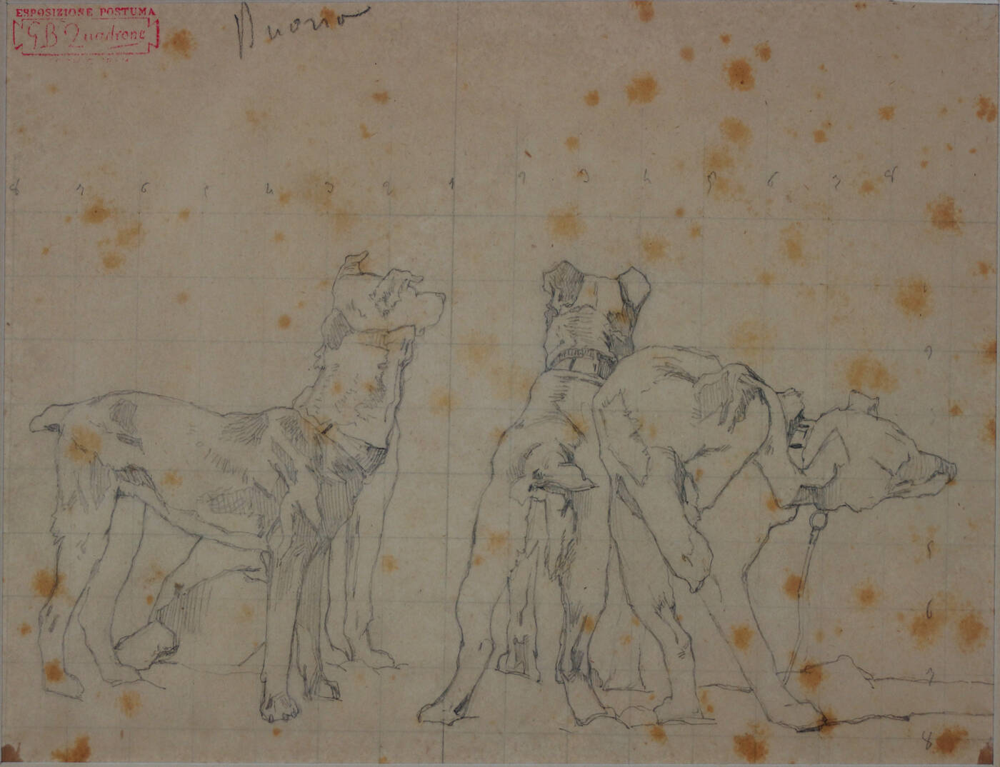 GIOVANNI BATTISTA QUADRONE - 'Studio di cani per 'Dopo una battuta', II' 1888
