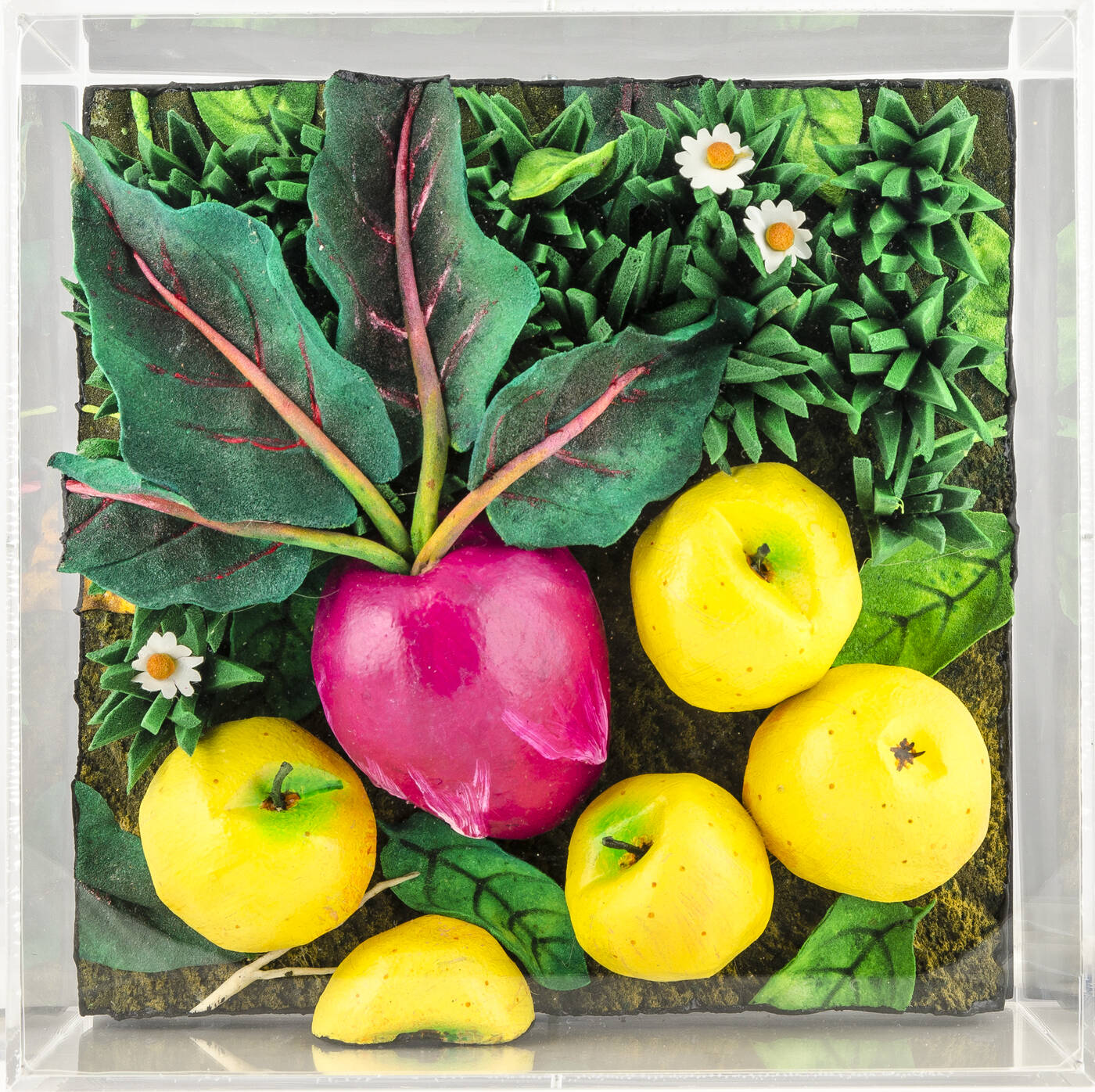 PIERO GILARDI - 'Rapa e mele gialle'