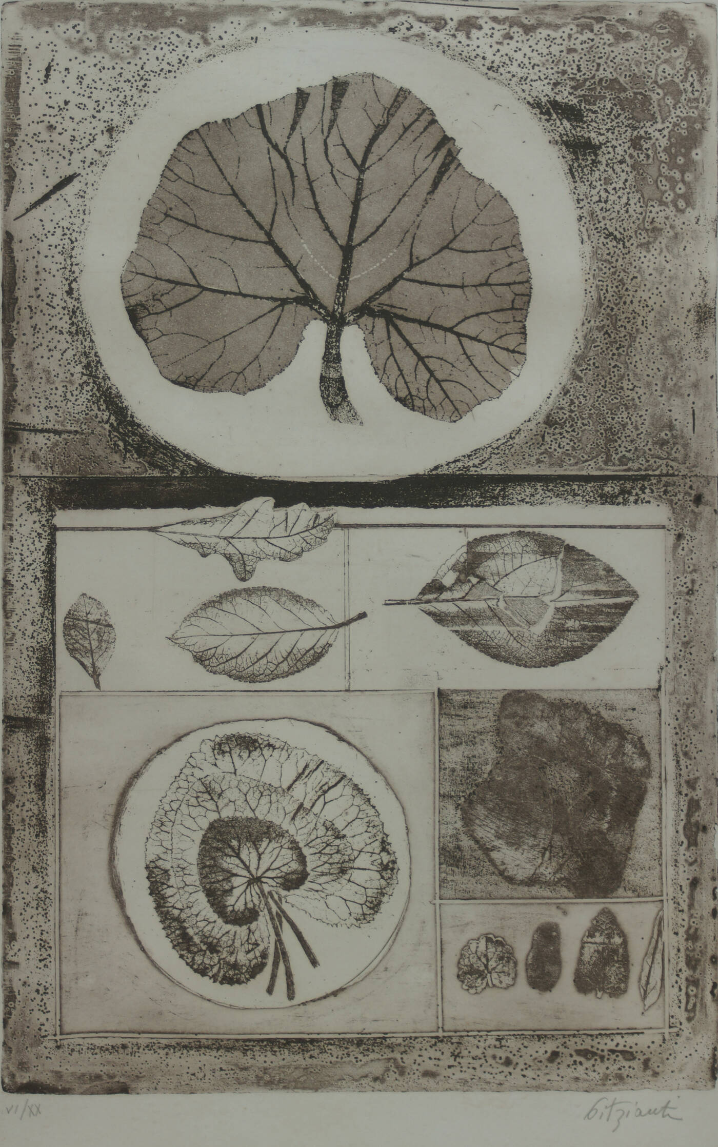 PAOLA PITZIANTI - 'Senza titolo'