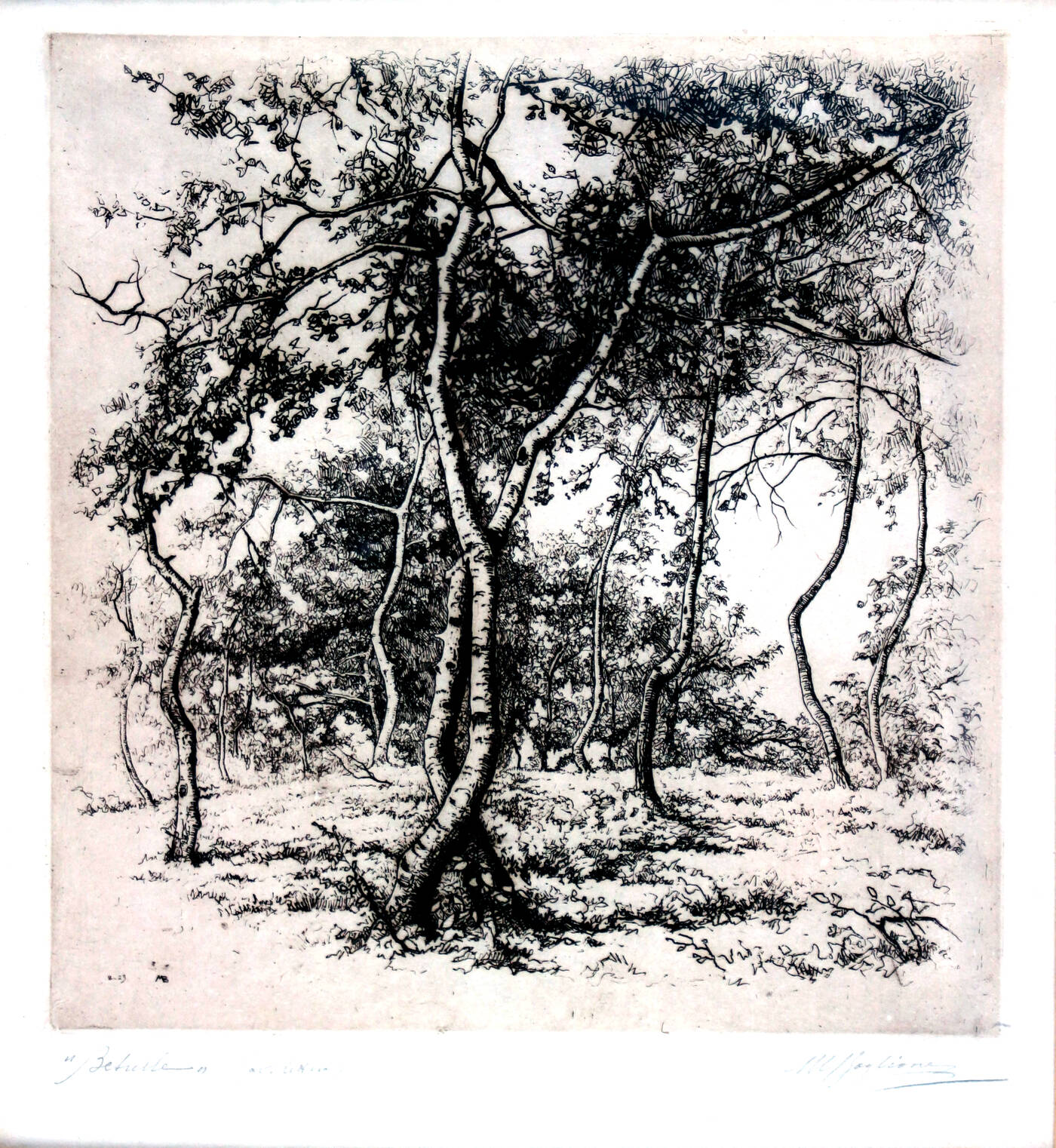 MARCELLO BOGLIONE - 'Betulle' 1929