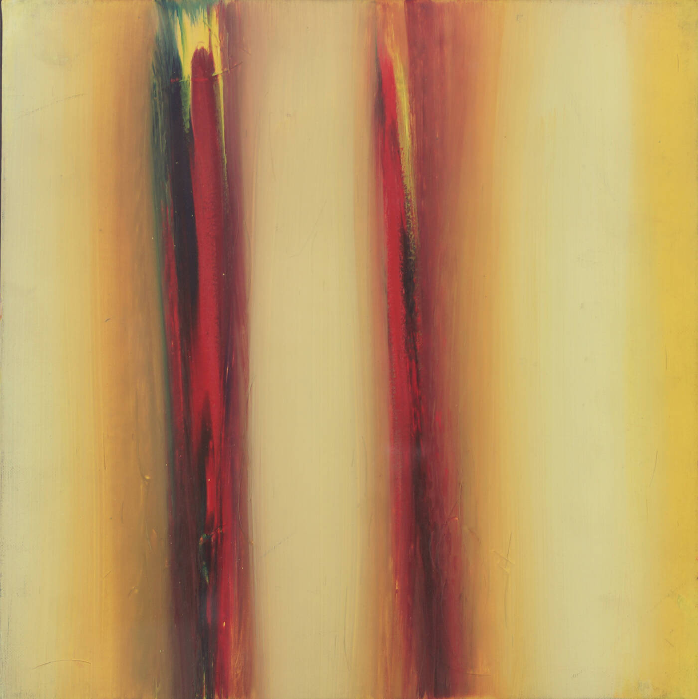 ENNIO FINZI - 'Il verso del giallo' 2011