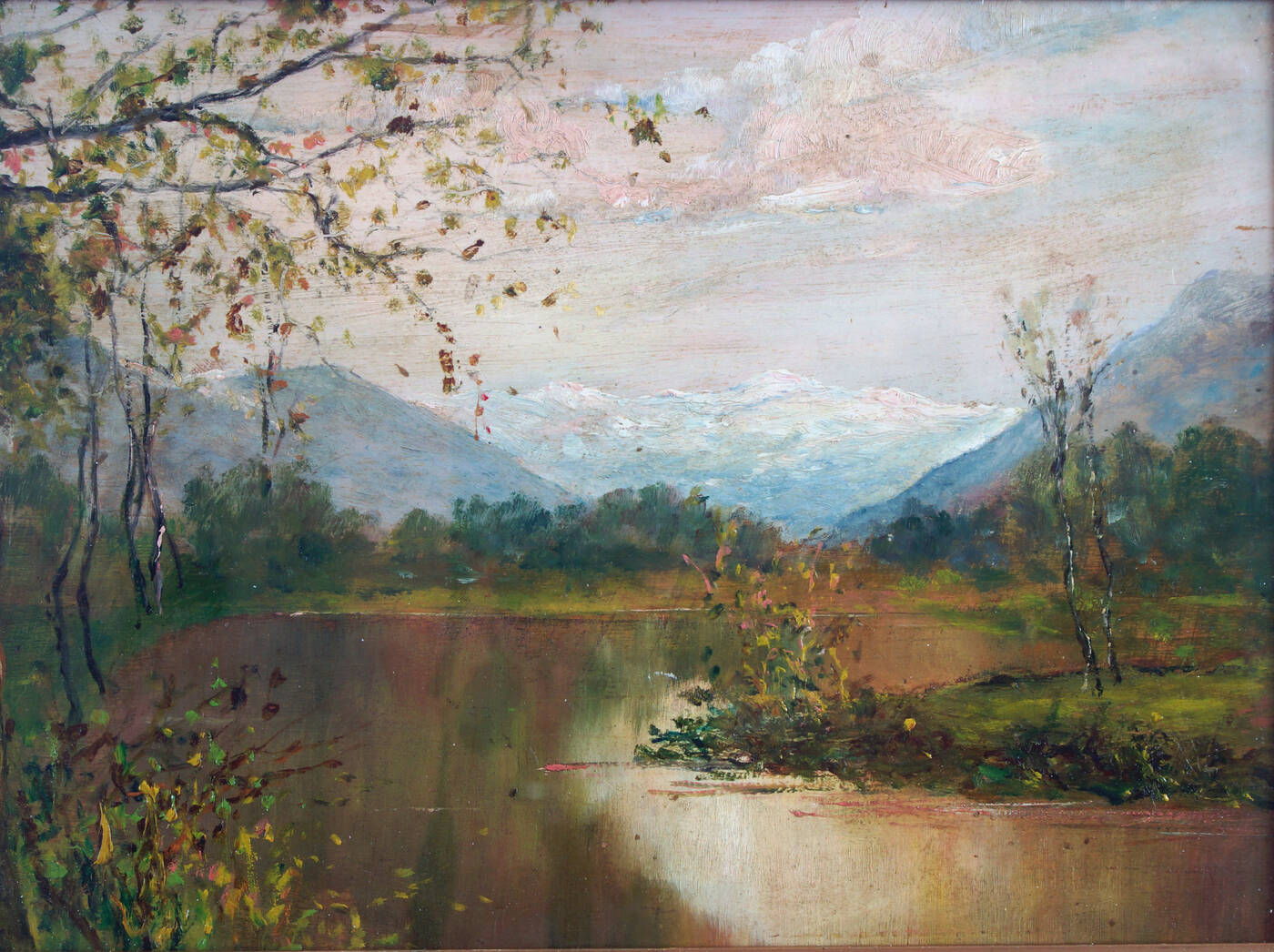 SCUOLA DI DELLEANI - 'Lo stagno'