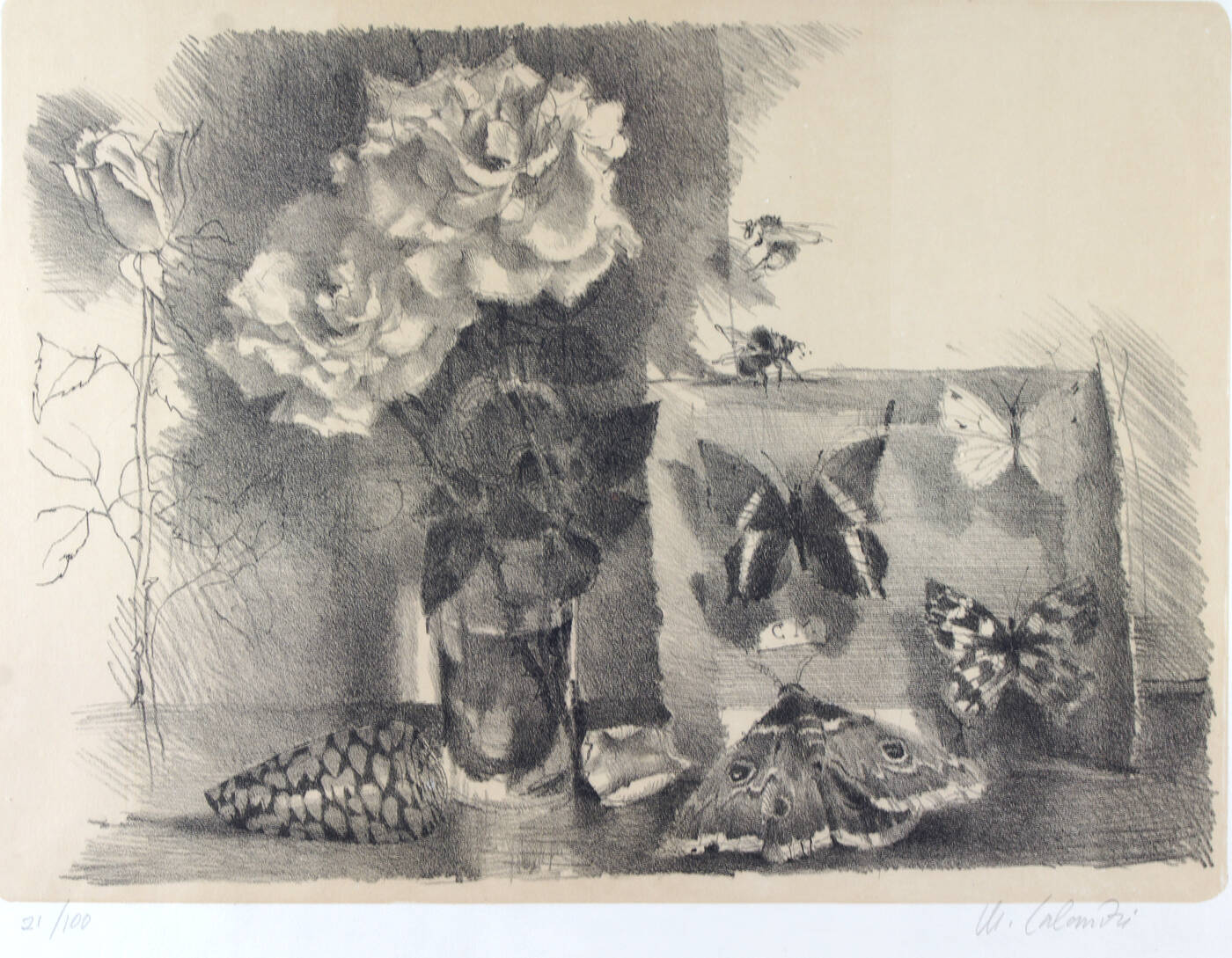 MARIO CALANDRI - 'Senza titolo (Rose, conchiglie e scatola degli insetti)' fine anni '950