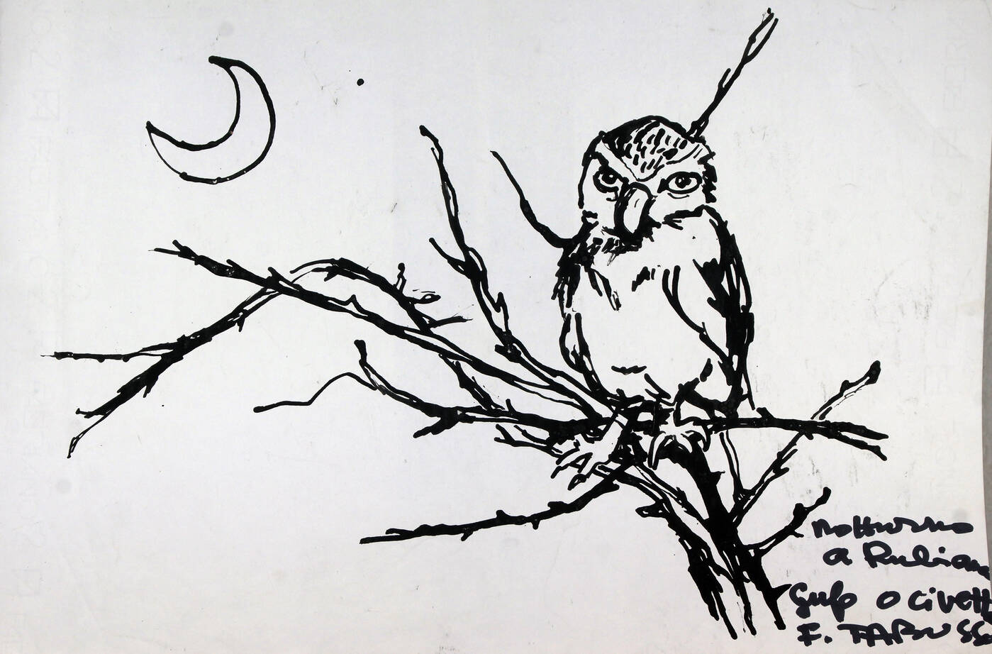 FRANCESCO TABUSSO - 'Notturno a Rubiana. Gufo o civetta'