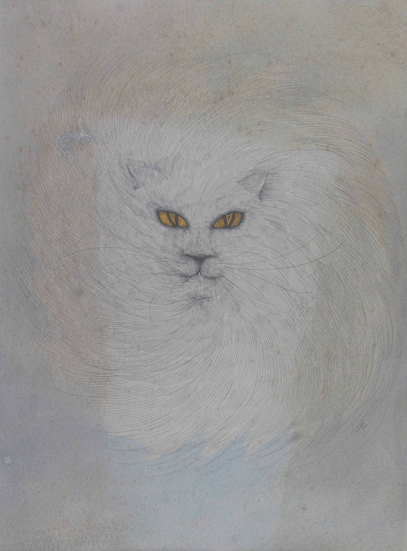 ENRICO COLOMBOTTO ROSSO - 'Gatto bianco'