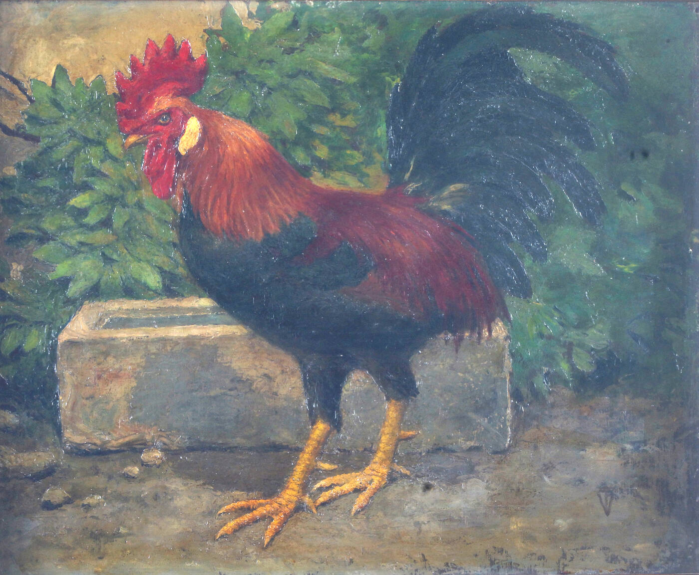 FELICE TOSALLI - 'Gallo' anni '950