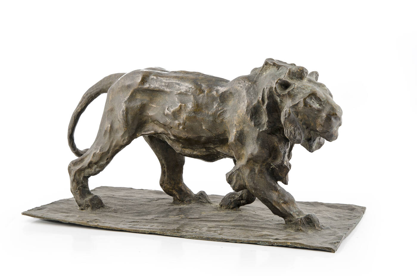 MICHELE VEDANI - 'Leone'