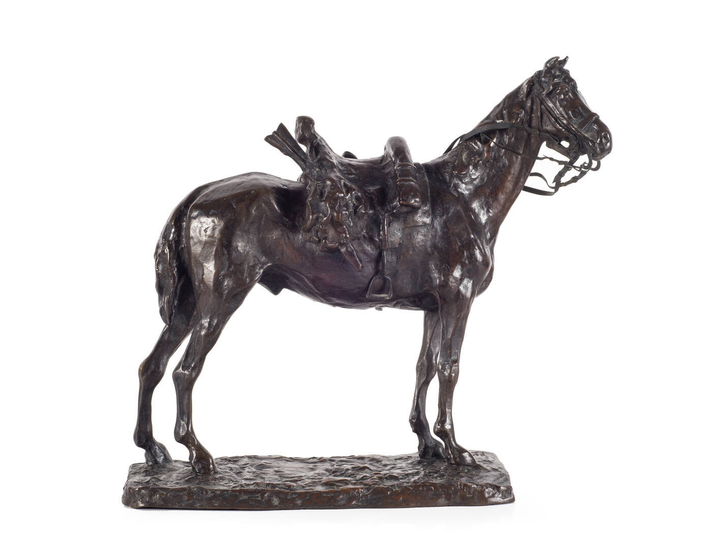 SCULTORE ANONIMO - 'Cavallo' XIX secolo