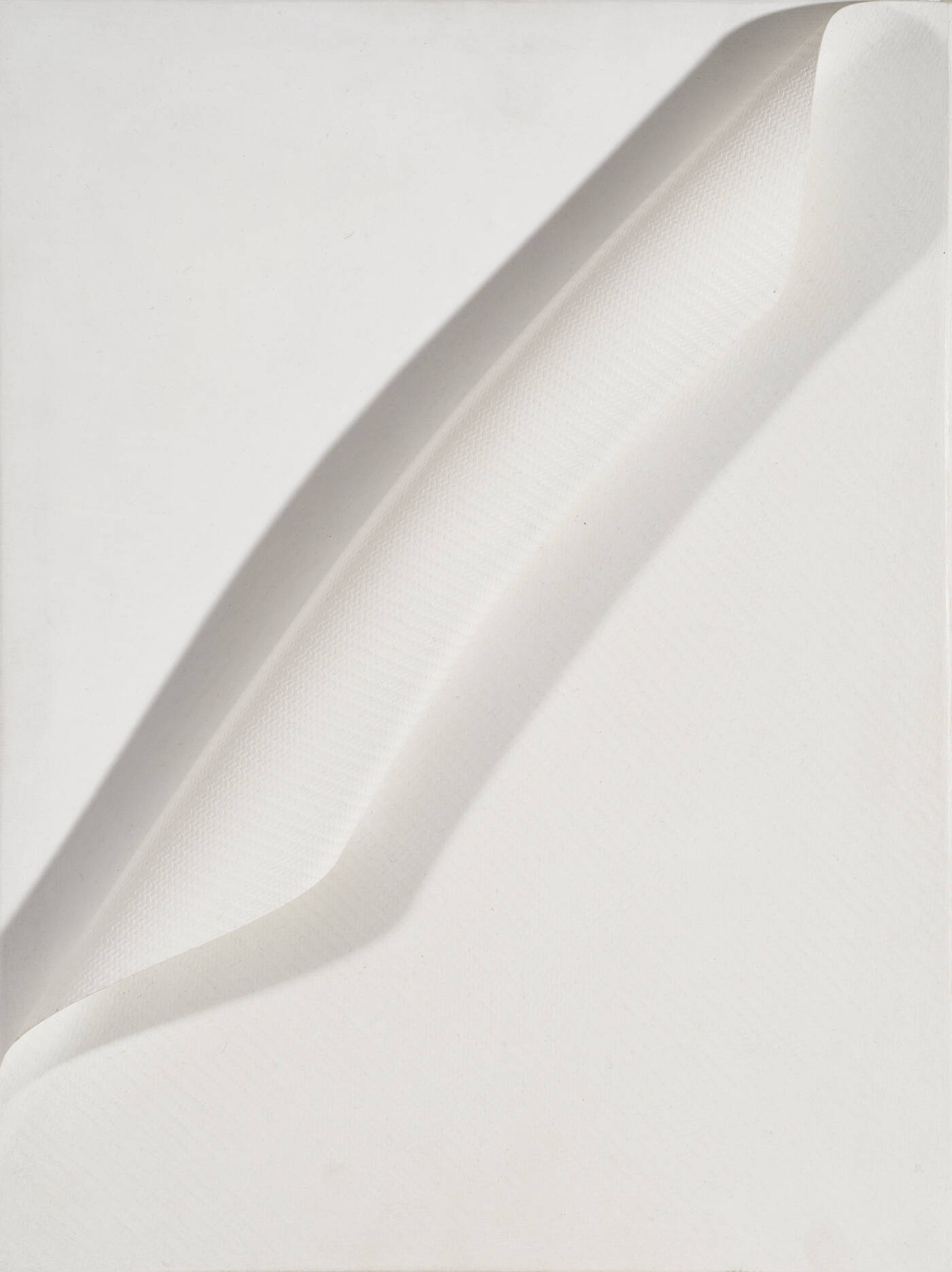 ANTONIO BACCARIN - 'Senza nome' 2005