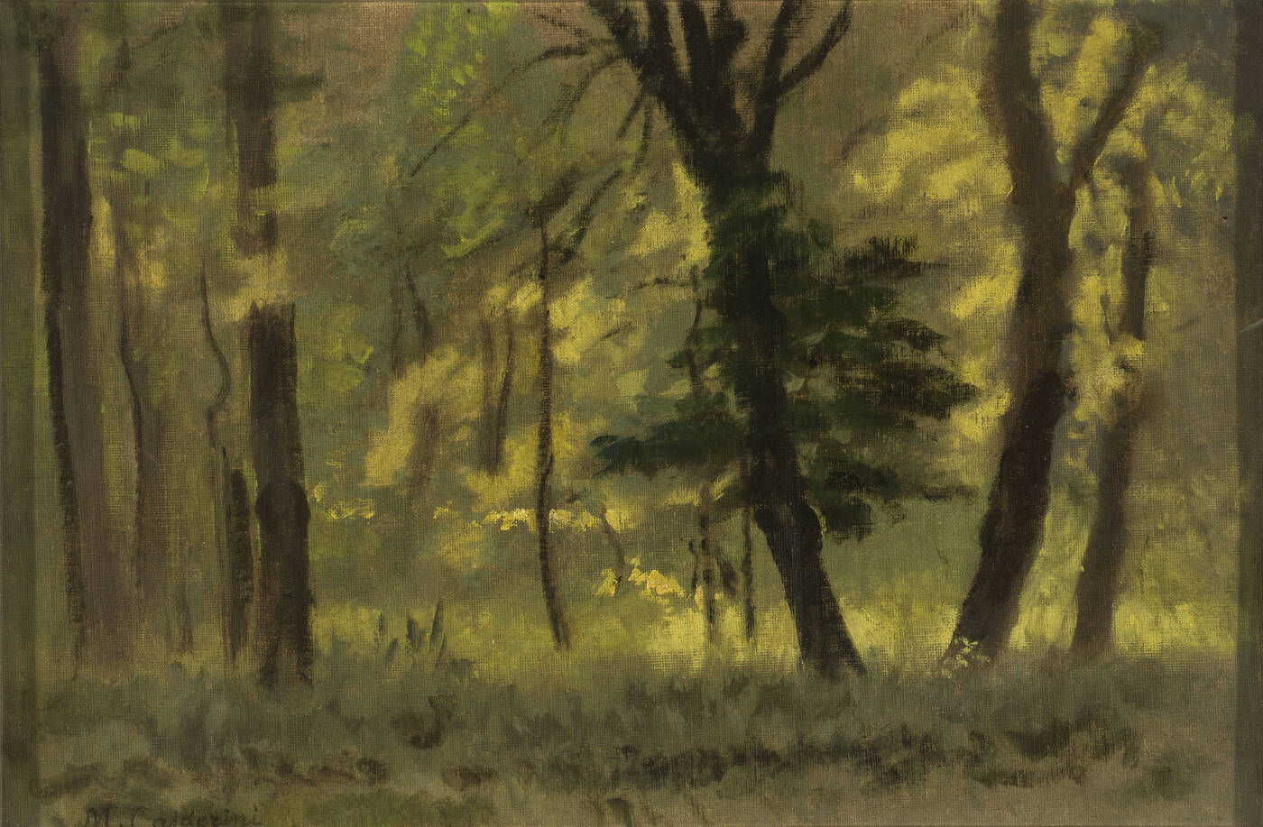 MARCO CALDERINI - 'Bosco'