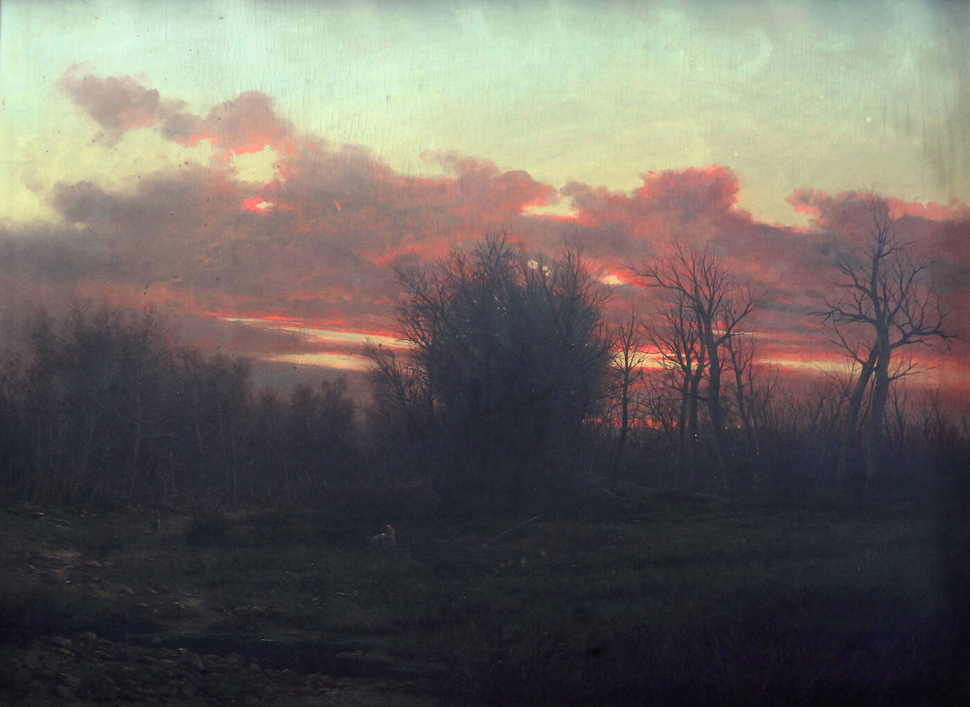 GIOVANNI PISANO - 'Alba invernale in pianura'