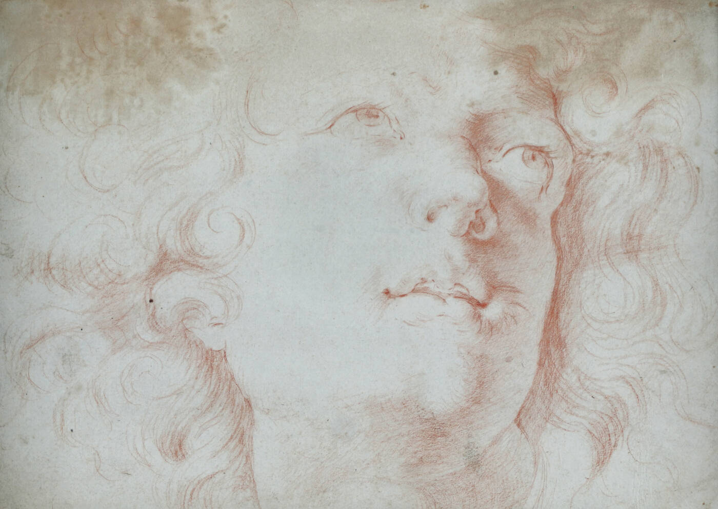 PITTORE ANONIMO DEL XVII SECOLO  - 'Ritratto'