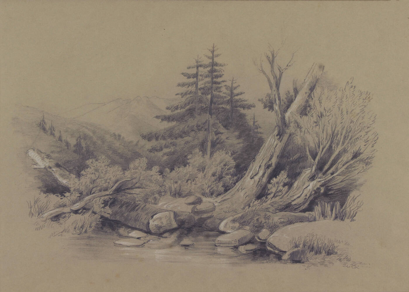 GIUSEPPE ISOLA - 'Boschetto'