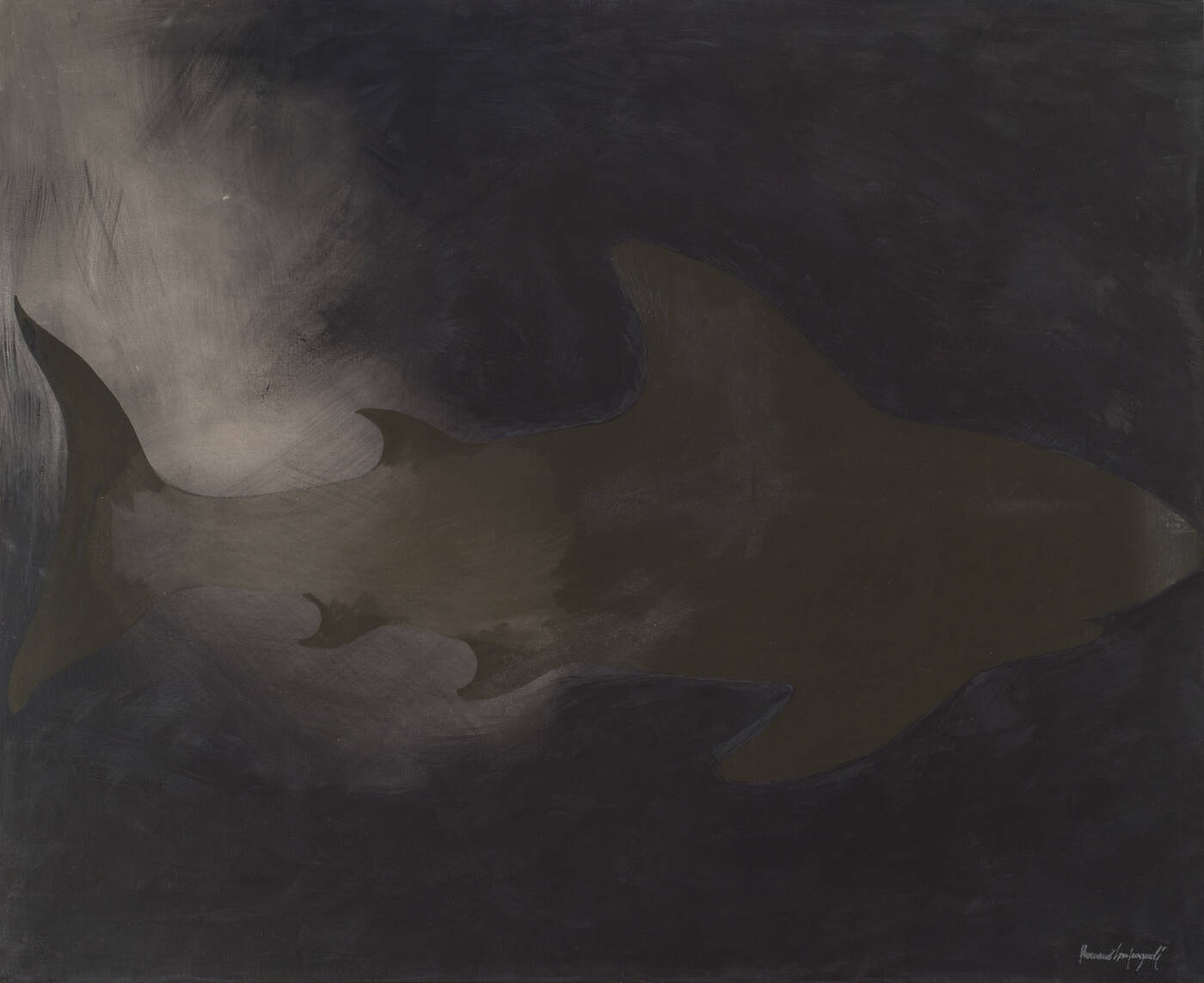 ROMANO CAMPAGNOLI - 'Squalo nero' 1980