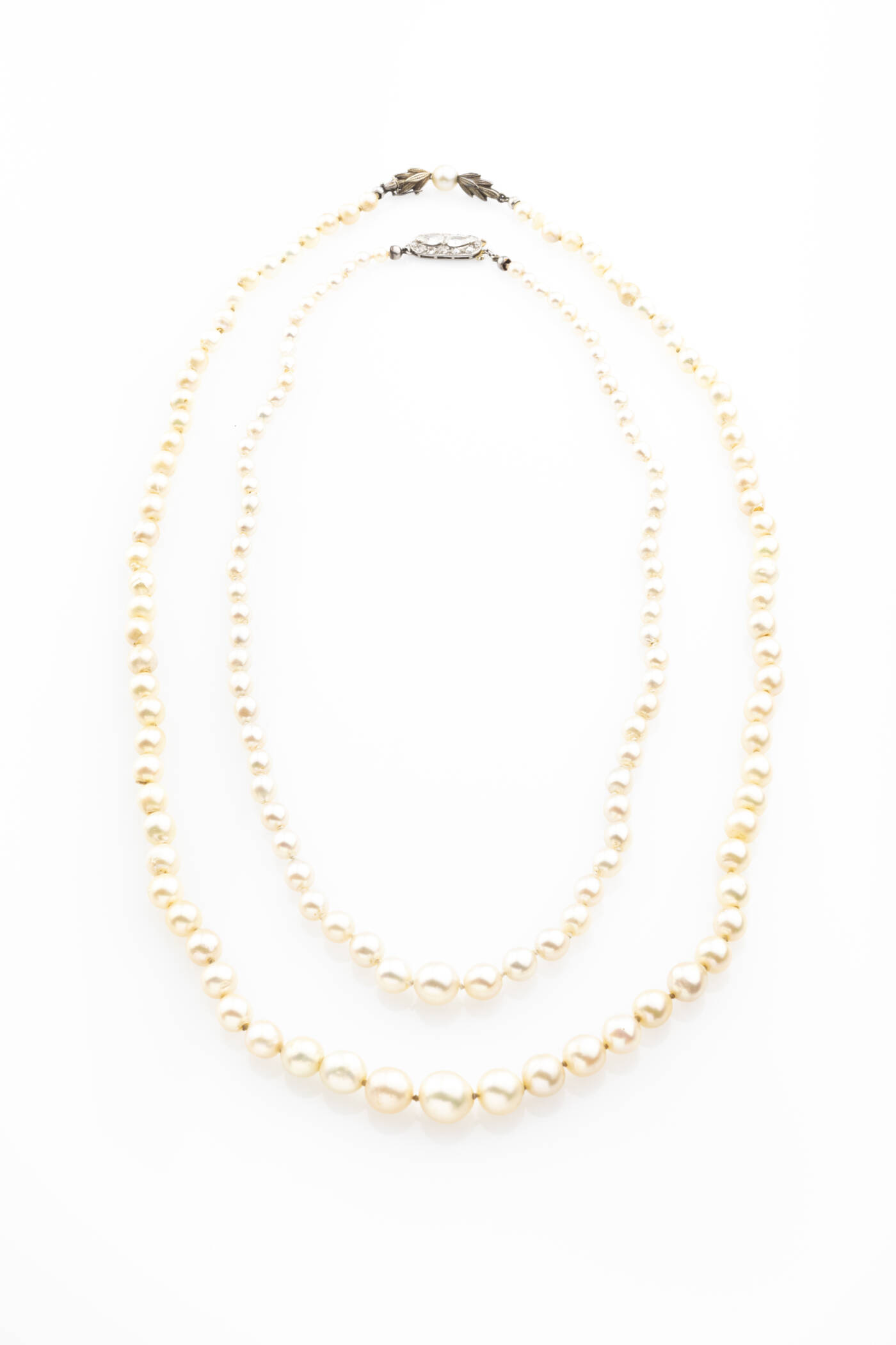 LOTTO DI DUE COLLANE