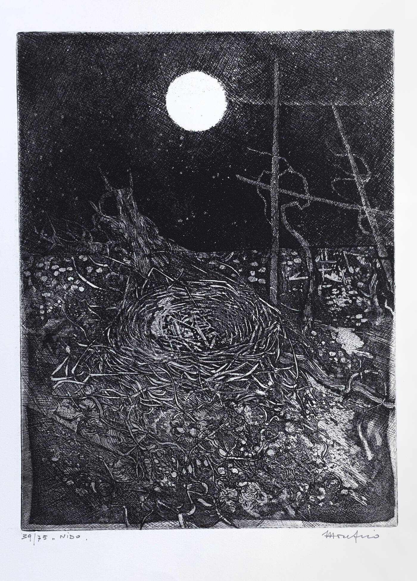 ETTORE FICO - 'Nido'