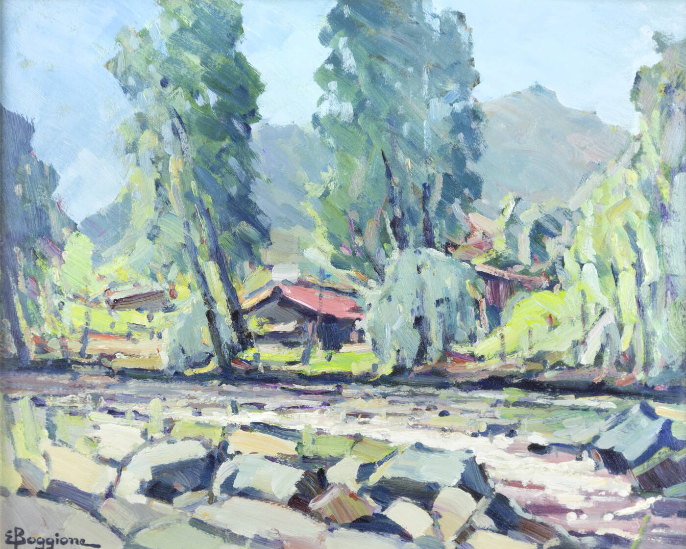 ENRICO BOGGIONE - 'Torrente Sangone a Trana'