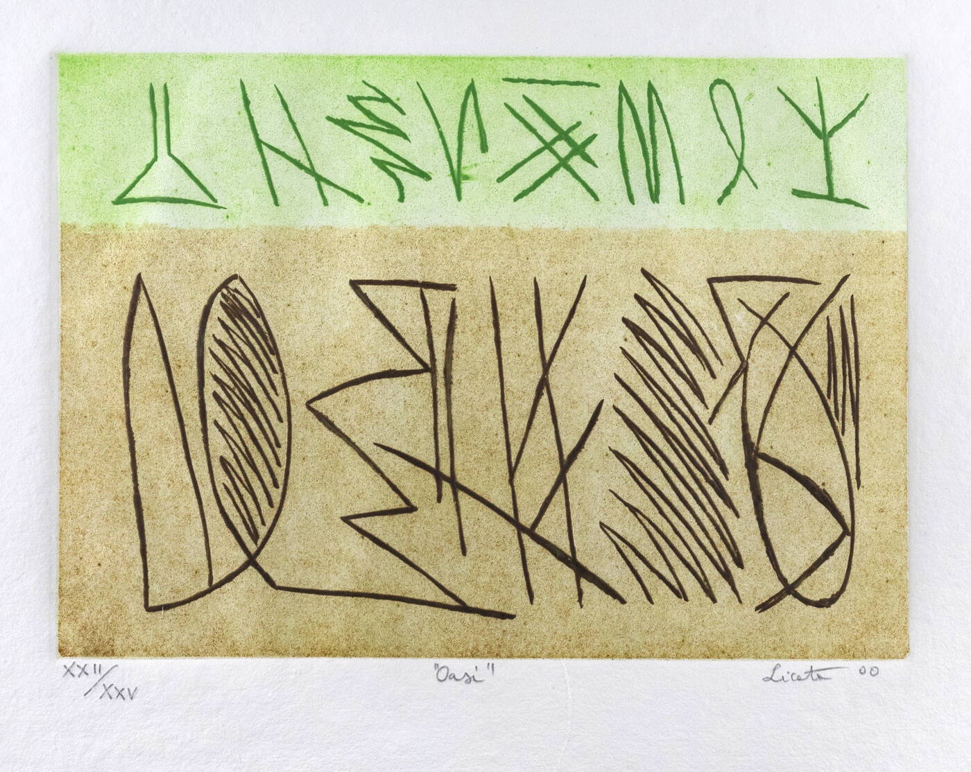 RICCARDO LICATA - 'Oasi' 