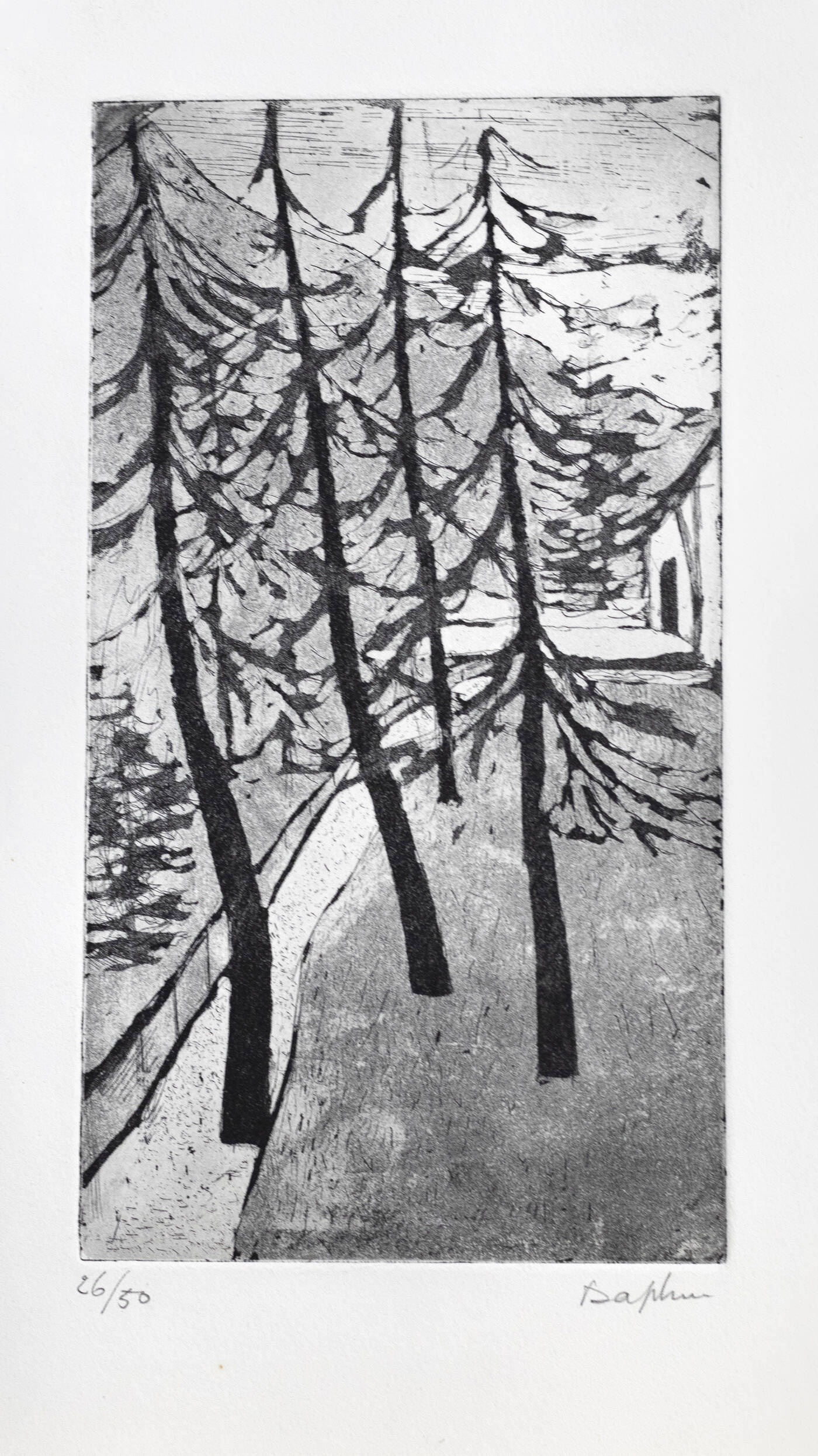 DAPHNE MAUGHAM CASORATI - 'Pineta' 1971