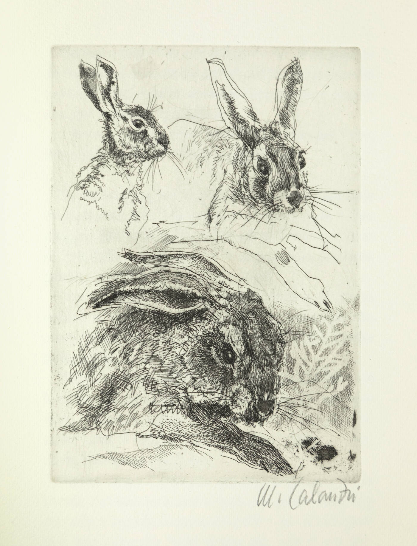 MARIO CALANDRI - 'Mario Rigoni Stern - Segni sulla neve' 1982