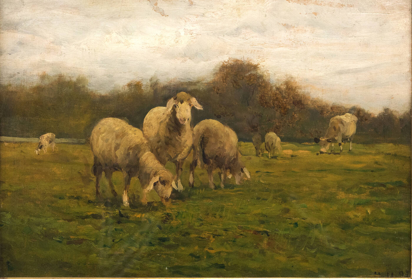 LORENZO DELLEANI - 'Pascolo a novembre (con pecore in primo piano)' 11/11/1897