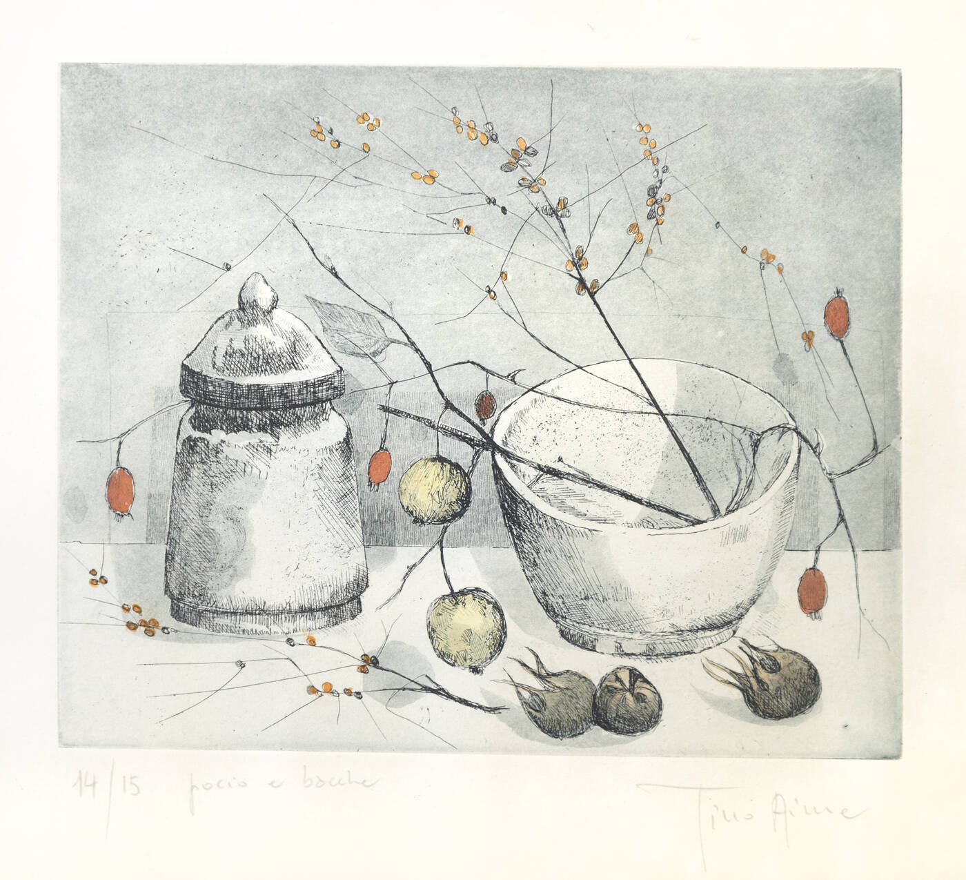 TINO AIME - 'Pocio e bacche'