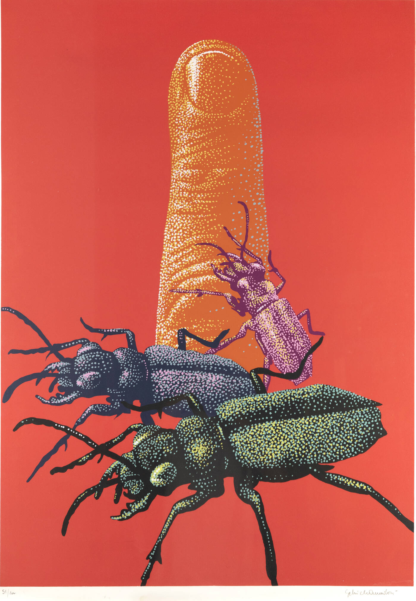 GABRIELE AMADORI - 'Scarabei'